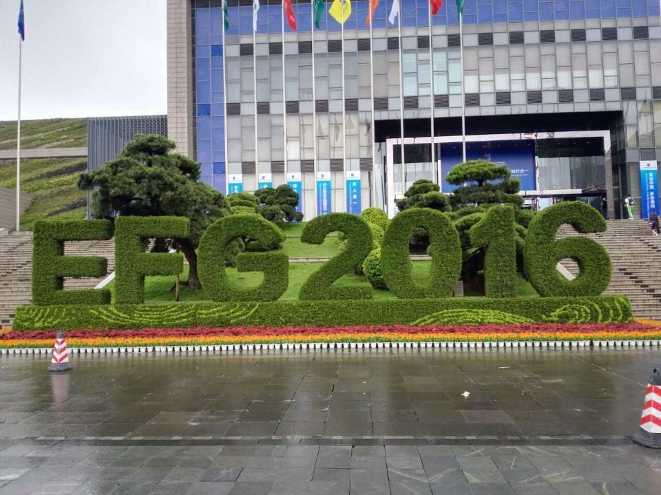 2017060314014914964697092483.jpg 2017060314014914964697092483.jpg